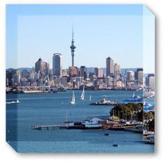 Auckland City  Photo Art Block
